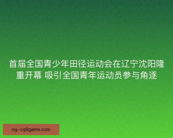 首届全国青少年田径运动会在辽宁沈阳隆重开幕 吸引全国青年运动员参与角逐